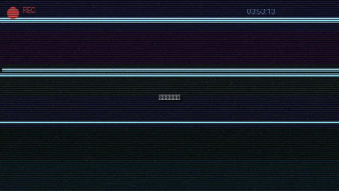 周末随拍记录 - 张津瑜视频夸克下载 原创视频